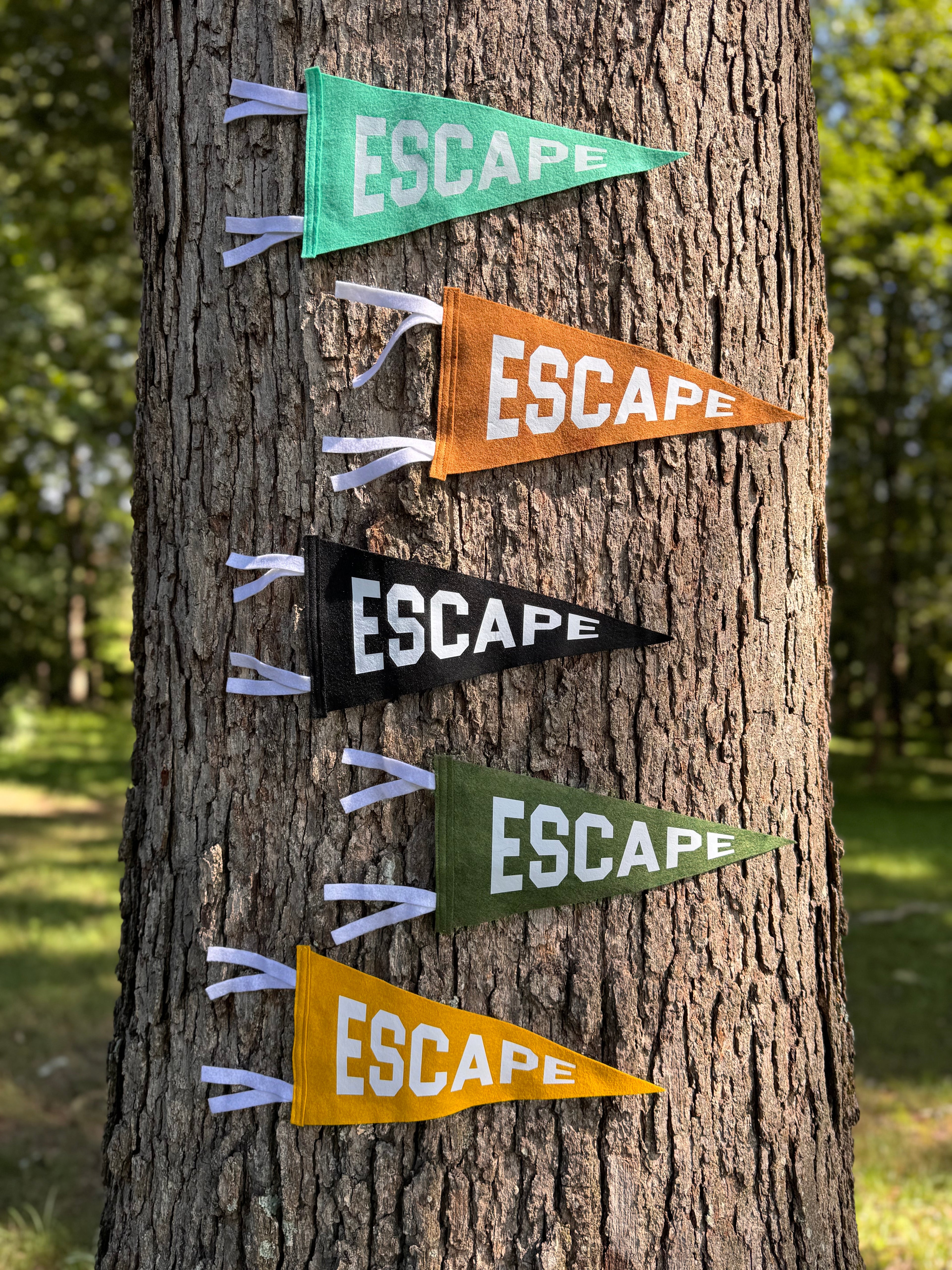 Glamping Pennant Flags